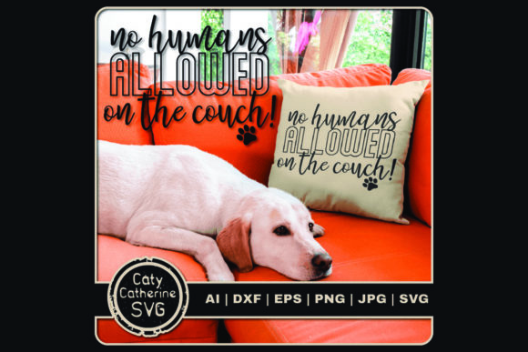 No Humans Allowed on the Couch: A Graphics and Crafts Review